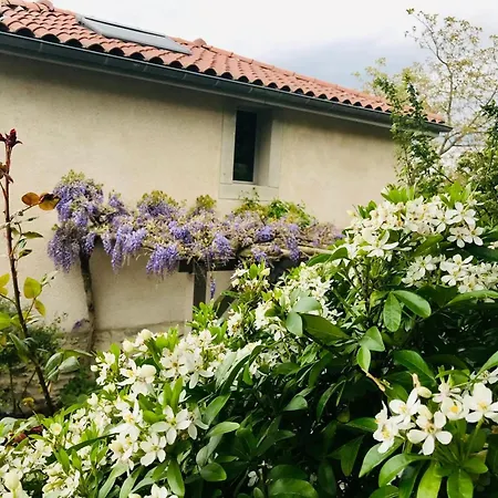 Au Coeur D'un Village Medieval, Charme Et Confort Moderne - Fr-1-496-125 別荘